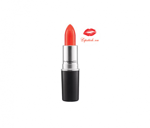 MAC Dozen Carnations