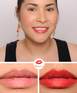 mac-dozen-carnations-cremesheen